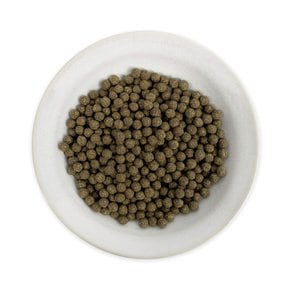 국산 여주환 200g 1통