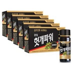 광동 헛개 파워 숙취해소제 음료 1000ml 5개 스틱