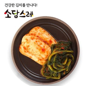  소담스레 국내산 알타리김치 총각김치 2kg