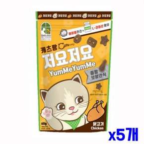담백한 QZ95XJ58 고양이 영양 간식 닭고기 x5개 건식사료