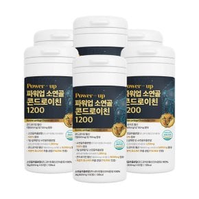 비카인 POWER UP 소연골 콘드로이친 1200mg 60정 6통 소유래 관절엔 콘드