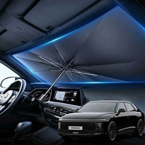 디올뉴 그랜저 우산형 햇빛가리개 차량용 앞유리커버