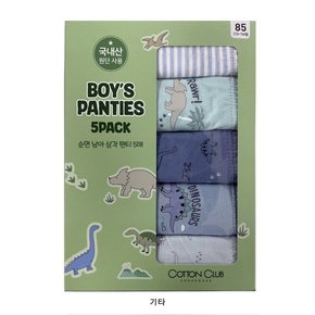남아 삼각팬티5매