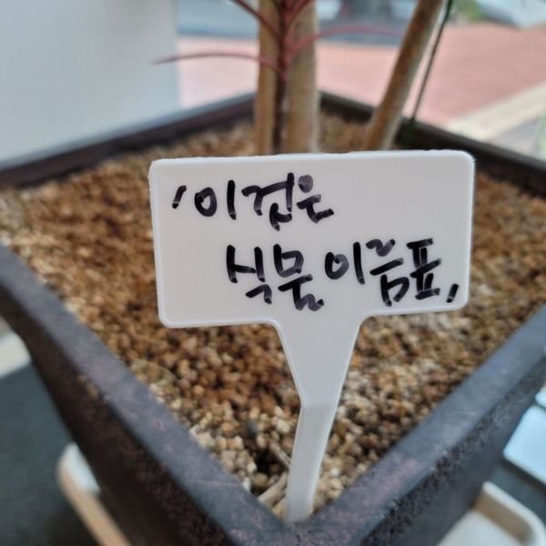 확대된 대표 이미지1