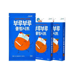 [G] 삼일제약 부루부루 쿨링시트 (6매입) 2개