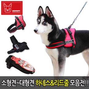 하네스/애견하네스/하네스/리드줄/가슴줄