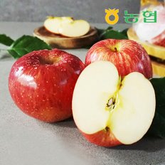 [농협] 아삭달콤 안동 세척사과 특품 2.5kg 2박스 (26과내)