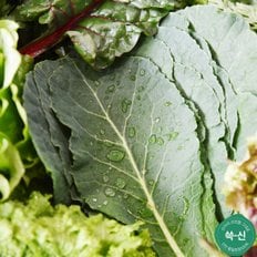 친환경팔도 [산지직송] 충주 유기농 쌈채소 1kg