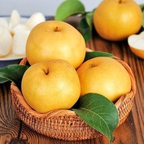 [다복] 안영일님 나주배 특품 5kg (5-7과)