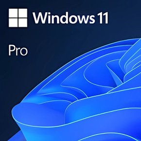 윈도우11 프로 Windows Pro FPP 처음사용자용 영구 제품키 USB설치