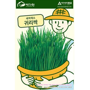 새싹씨앗종자 귀리싹 (30g) 새싹채소