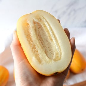 집에서 즐기는 꿀맛 참외 1.5kg 중소과 (6-9과)