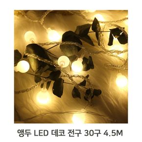 휴대용 장식 앵두 LED 데코 전구 30구 4.5M 감성 조명