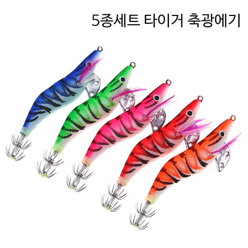이미지5