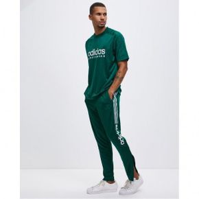 3906584 Adidas Sportswear Tiro Wordmark Pants - Collegiate Green