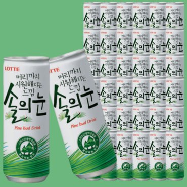  롯데 솔의눈 240ml x30개