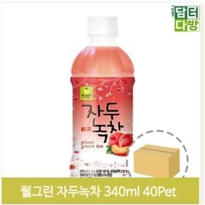 과일 녹차 음료수 자두 340ml 20페트x2 편의점 탕비실 (S9379191)