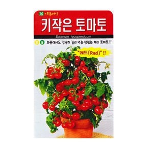 키작은 레드 토마토씨앗 50립