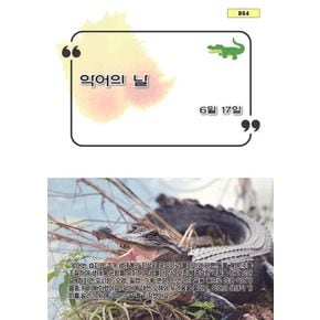 악어의 날