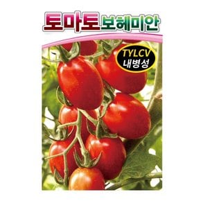 토마토씨앗종자 보헤미안(1000립)