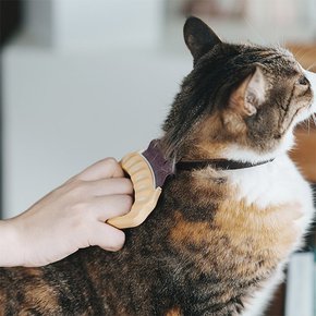 고양이 조개빗 털갈이 고양이빗 강아지빗 털빗