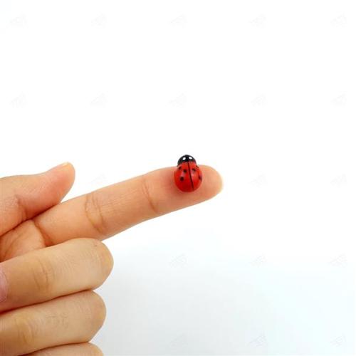 상품이미지3