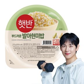 (캠페인혜택)햇반 발아현미밥 210G 낱개(36입)