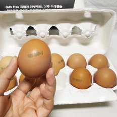 자연방목 동물복지 유정란 20개입 (특란,60g~65g 이내)