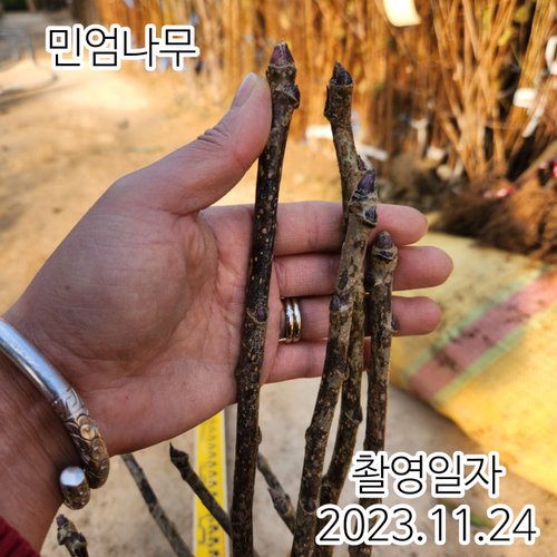 추가이미지
