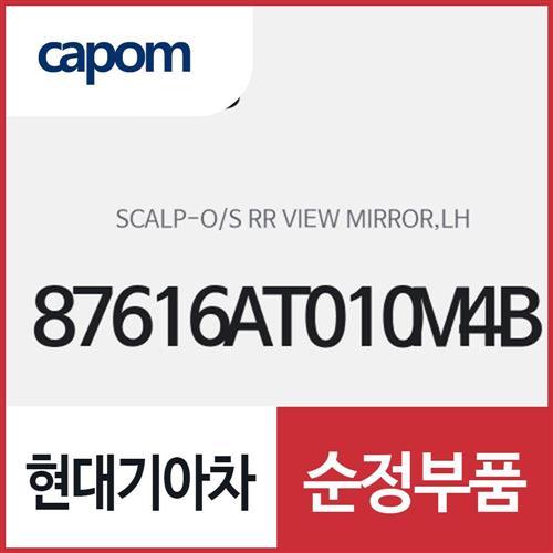 사이드미러 커버,운전석쪽 (87616AT010M4B) 니로 하이브리드, 니로 전기차