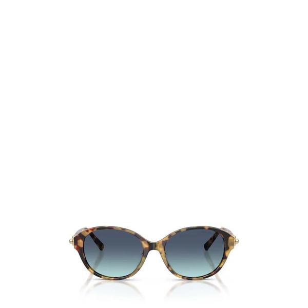 확대된 대표 티파니앤코 선글라스 TF4263D 80649S BLONDE HAVANA