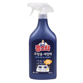 홈스타 주방 세정제 싱크대 세척 기름때 청소 750ml