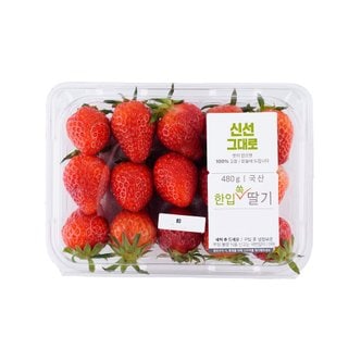[SSG] 한입 쏙 딸기 480g 팩