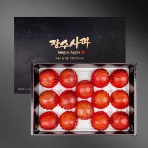 [바로배송] [농협공판장] 정성드린 프리미엄 장수사과세트 5kg(특17-19과내)