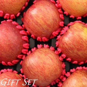 [바로배송] [농협공판장] 정성드린 프리미엄 장수사과세트 5kg(특17-19과내)