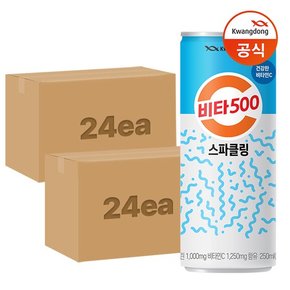 [광동직송] 비타500 스파클링 250ml(24입) x48캔