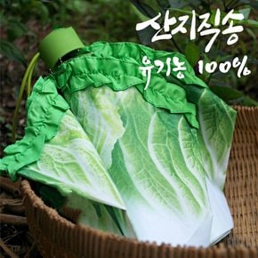 배추우산 쓸데없는선물 3단수동우산 웃긴선물 특이한 마니또선물