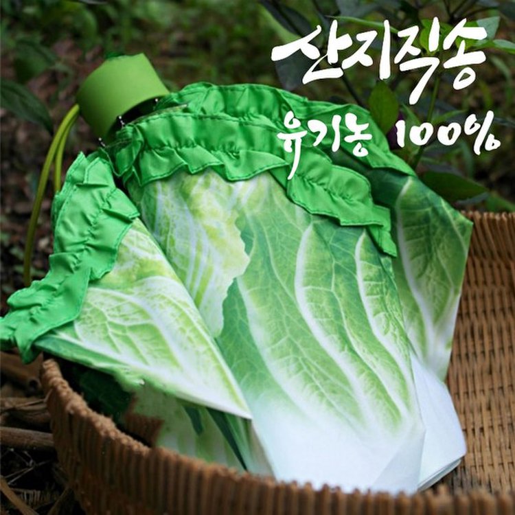 배추우산 쓸데없는선물 3단수동우산 웃긴선물 특이한 마니또선물, 이마트몰, 당신과 가장 가까운 이마트 배추우산 쓸데없는선물 3단수동우산 웃긴선물 특이한 마니또선물, 이마트몰, 당신과 가장 가까운 이마트