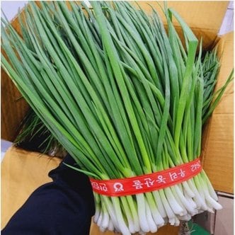  국내산 깐쪽파 1kg 내외 1단