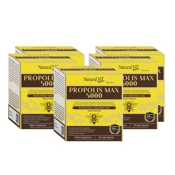 내추럴엔젯 프로폴리스 맥스 5000 플라보노이드 70mg 90캡슐 5개
