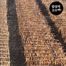 구룡포 건조 반건 오징어 10미 1.2kg 피대기 피데기