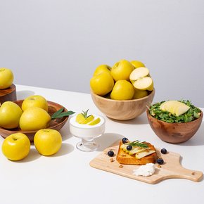 [바로배송] 황금사과 시나노골드 정품 5kg 23-28과