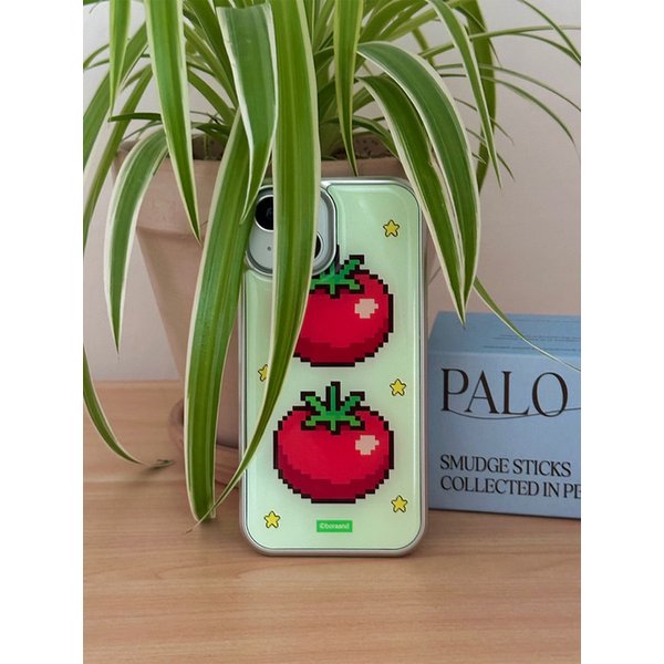 Retro tomato Silver Epoxy case