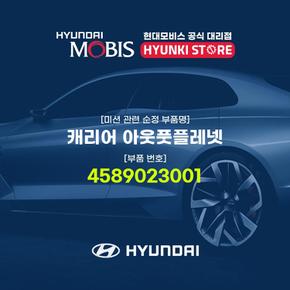 캐리어 아웃풋플레넷 (4589023001)