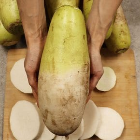 아삭아삭 추울수록 더 맛나는 무농약 제주 월동무 5kg