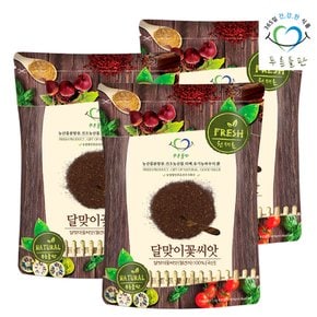 국내산 달맞이꽃 씨앗 100g 월견자