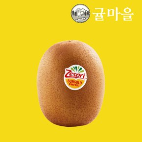 제스프리 골드키위 중과 10알 개당110g내외