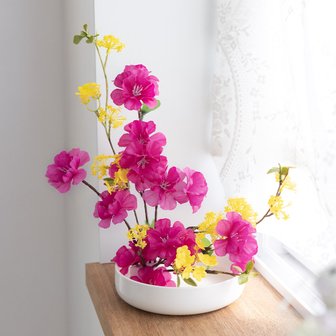 1. 플라워트리 세덤..