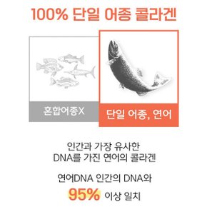 연어콜라겐 콜라겐정 저분자콜라겐펩타이드/초저분자 500달톤 콜라겐 엘라스틴 히알루론산 비오틴 알약 형/