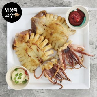  구룡포 건조 반건오징어 피대기 피데기 5미 600g 포항